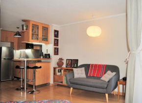 Studio Apartment En Providencia